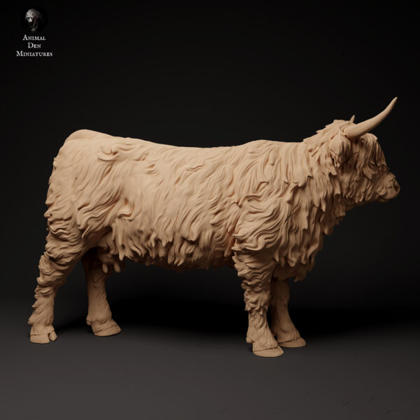 Highland Cow - Image 9