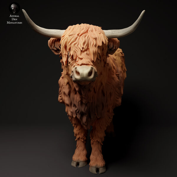 Highland Cow - Image 7