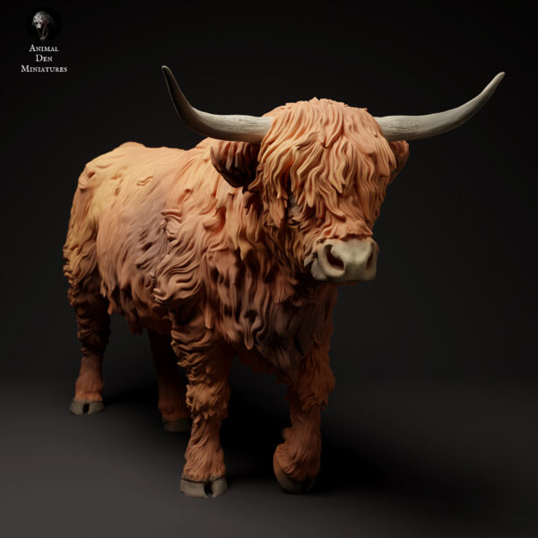 Highland Cow - Image 4