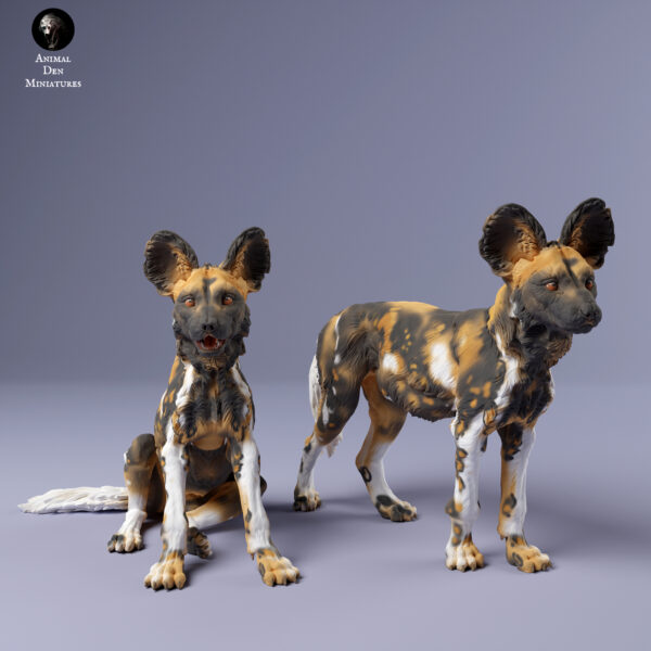 African Wild Dog / Painted Dog - Image 7