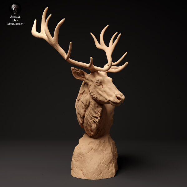 Red Deer Bust