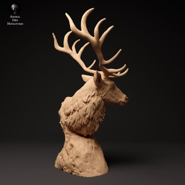 Red Deer Bust - Image 3